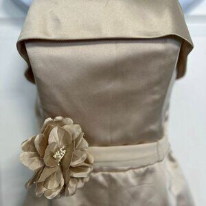 White House Black Market Size 6 Champagne Strapless Evening/Cocktail Dress